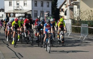 Victoires et podiums à Erstein