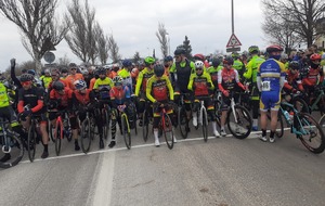 Les Golbéens au sein du peloton