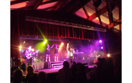 Remerciements soirée dansante 2015