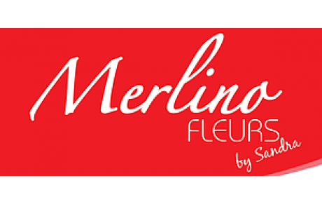 avec notre partenaire MERLINO Fleurs