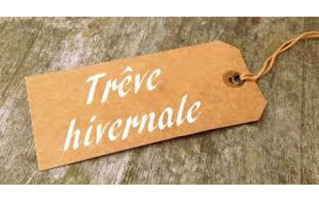 treve hivernale