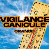 Annulation entrainement ROUTE et BMX